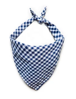 Cape Cod Picnic Bandana
