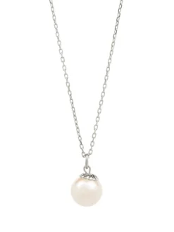 Oyster Elegance