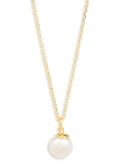 Oyster Elegance