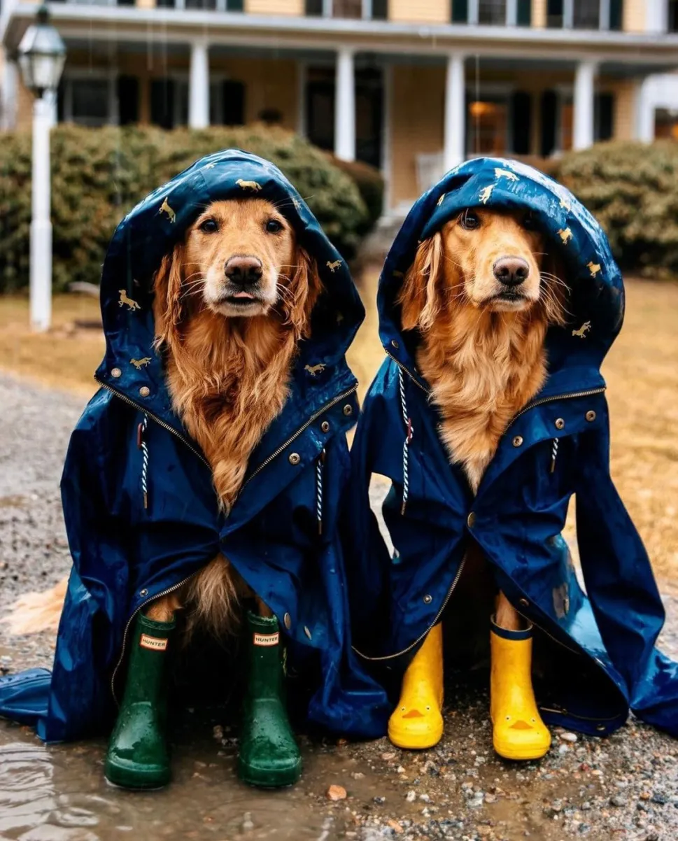 The Old Salt Navy Raincoat- Kids