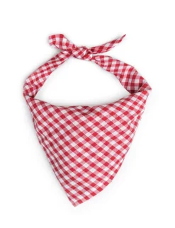 Vineyard Picnic Bandana