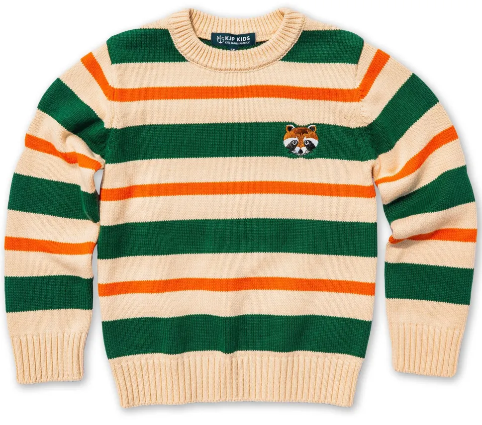 Wilderness Raccoon Striped Kids Sweater